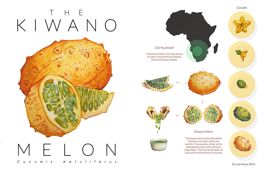 kiwano melon africa Fruit magazine watercolor Layout growth flower seed