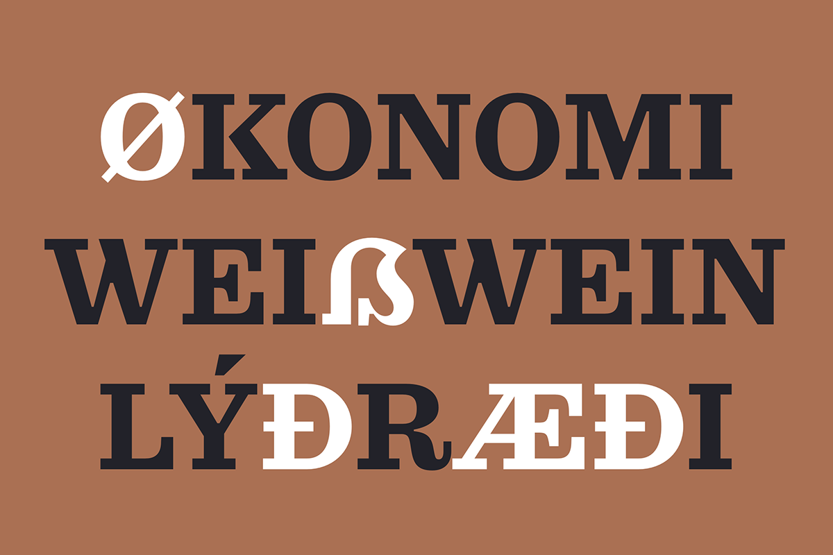 Brand Design font Logo Design typedesign typedesigner typeface design typography   visual identity