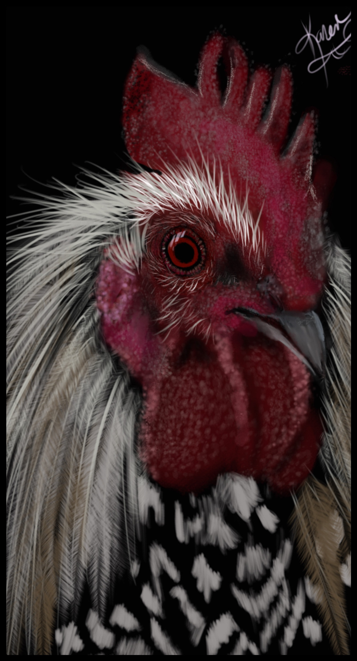 Digital Art  digital painting Drawing  illustrations animals birds chicken Hamburg chickens
