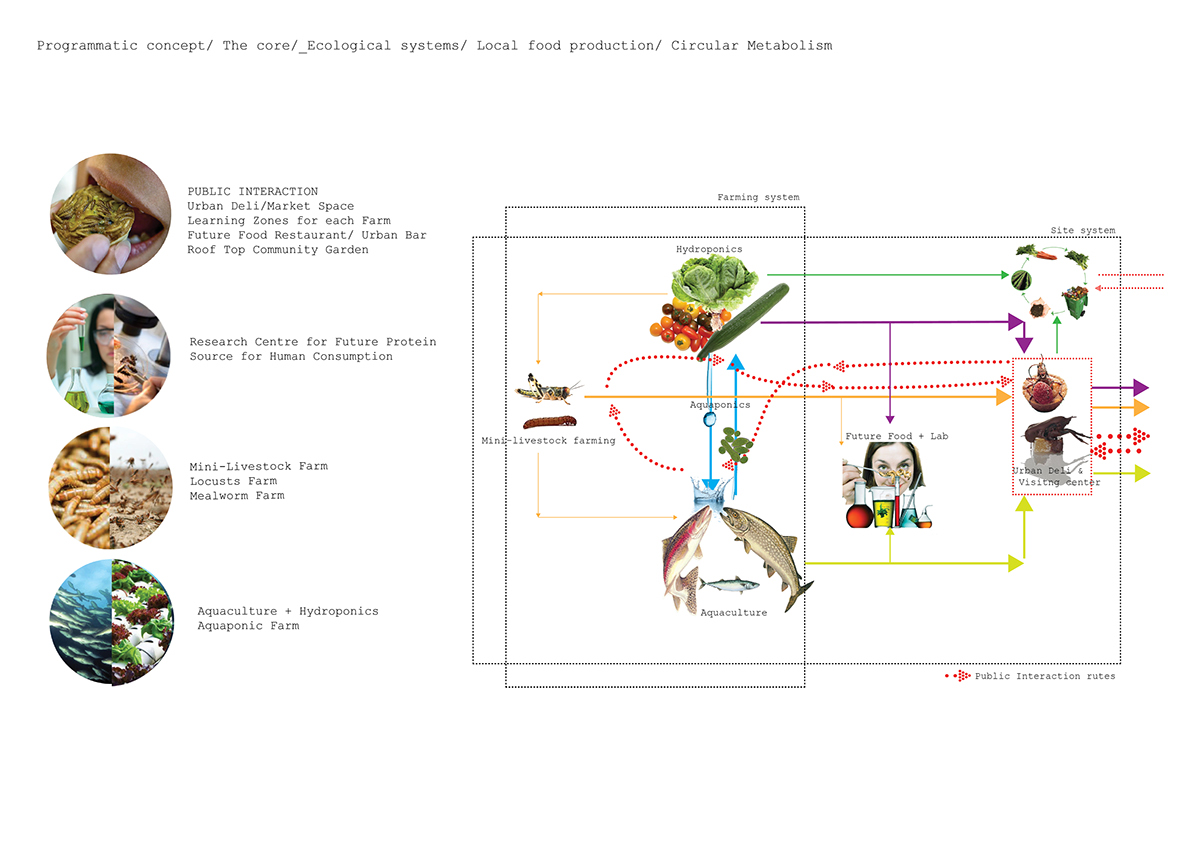 enviromental urban farm