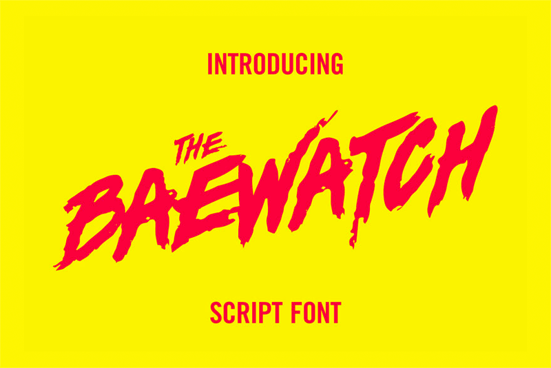 download baywatch type font Script brush script hand drawn