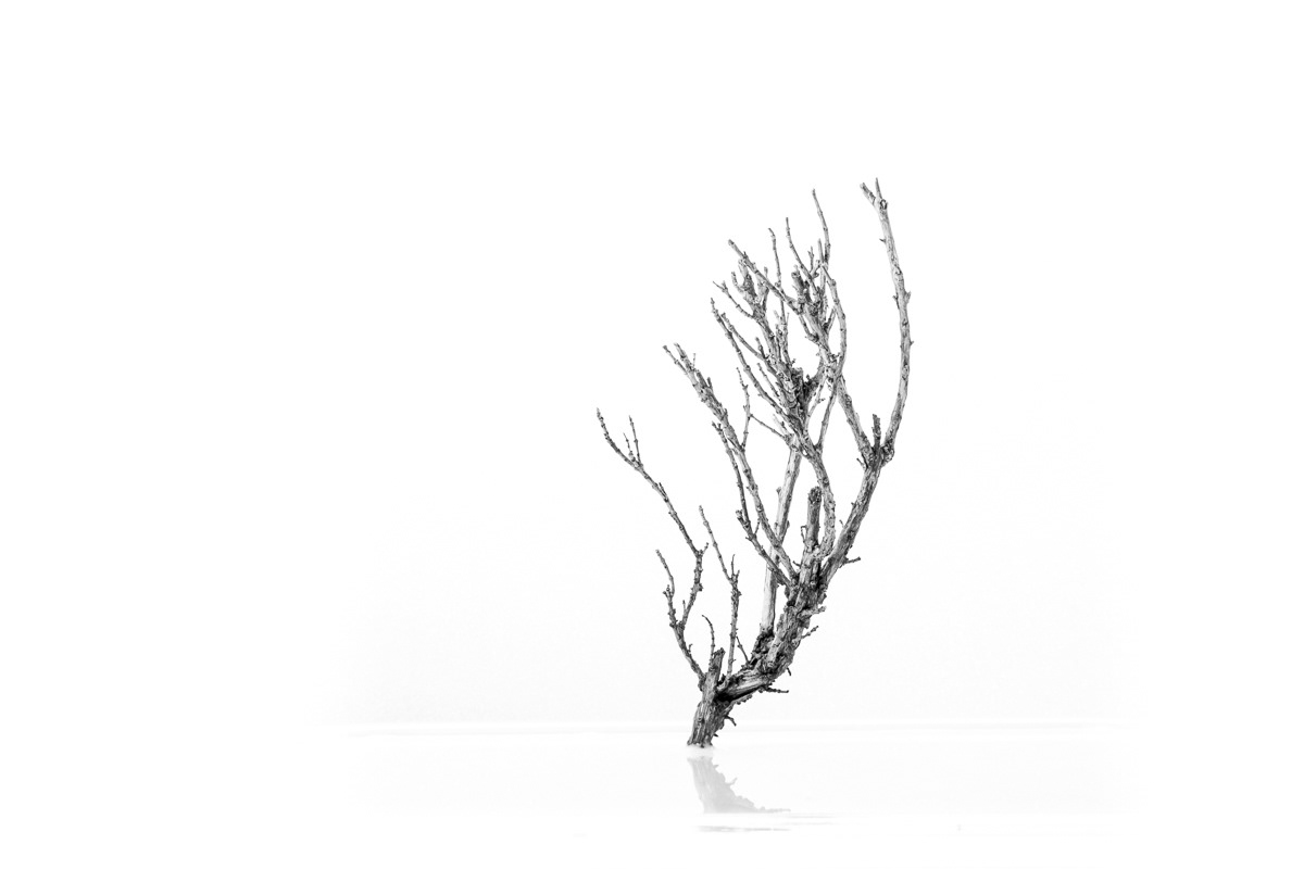 black and white noir et blanc echelle light Nature natural Roc stone Tree  arbre sea mer model maquette