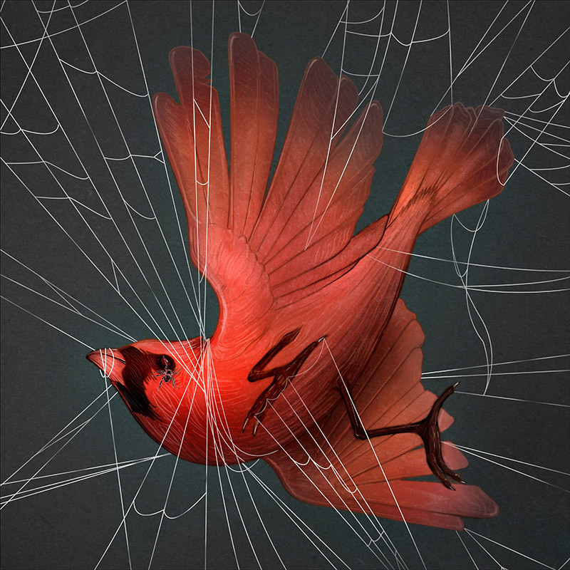 ILLUSTRATION  anatomy pig God robot science glow flower bird music
