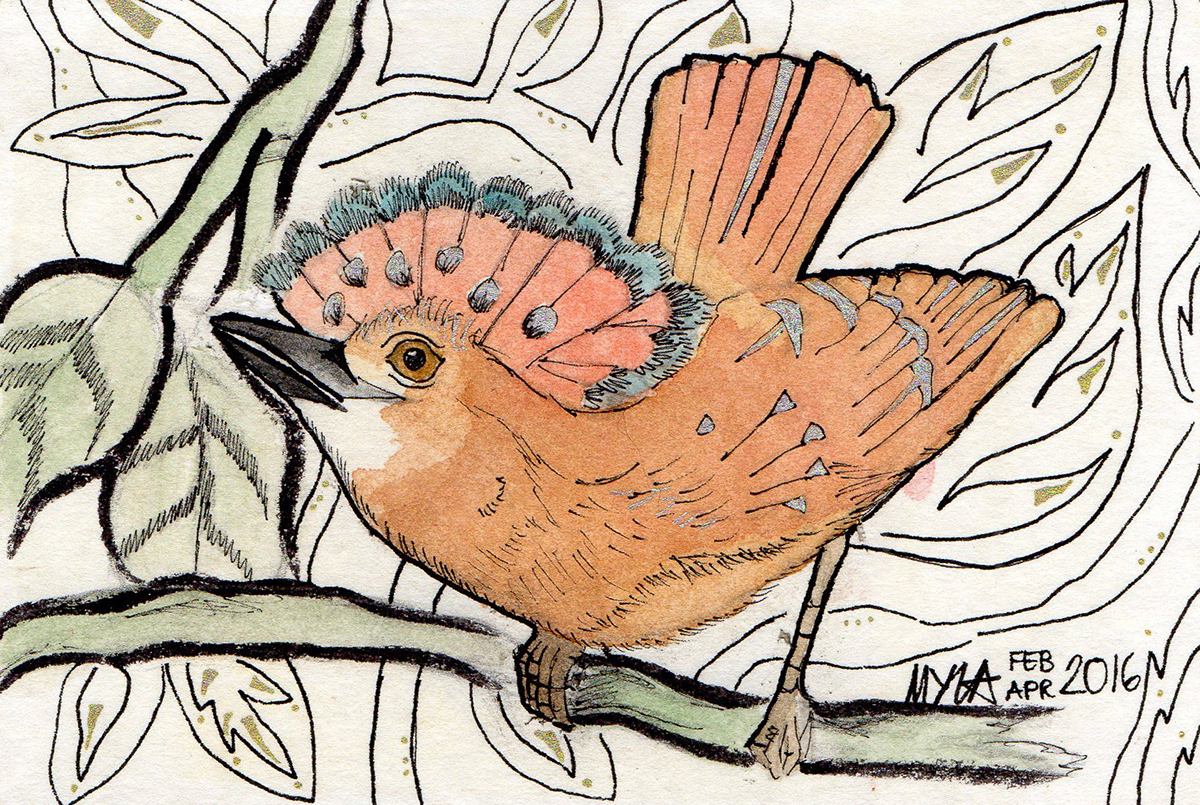 watercolor collage birds