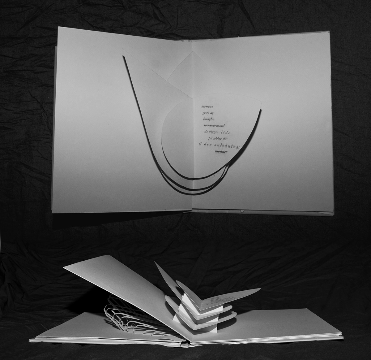 book Popup pop-up origami  paper fold Poetry  design kirigami kirie
