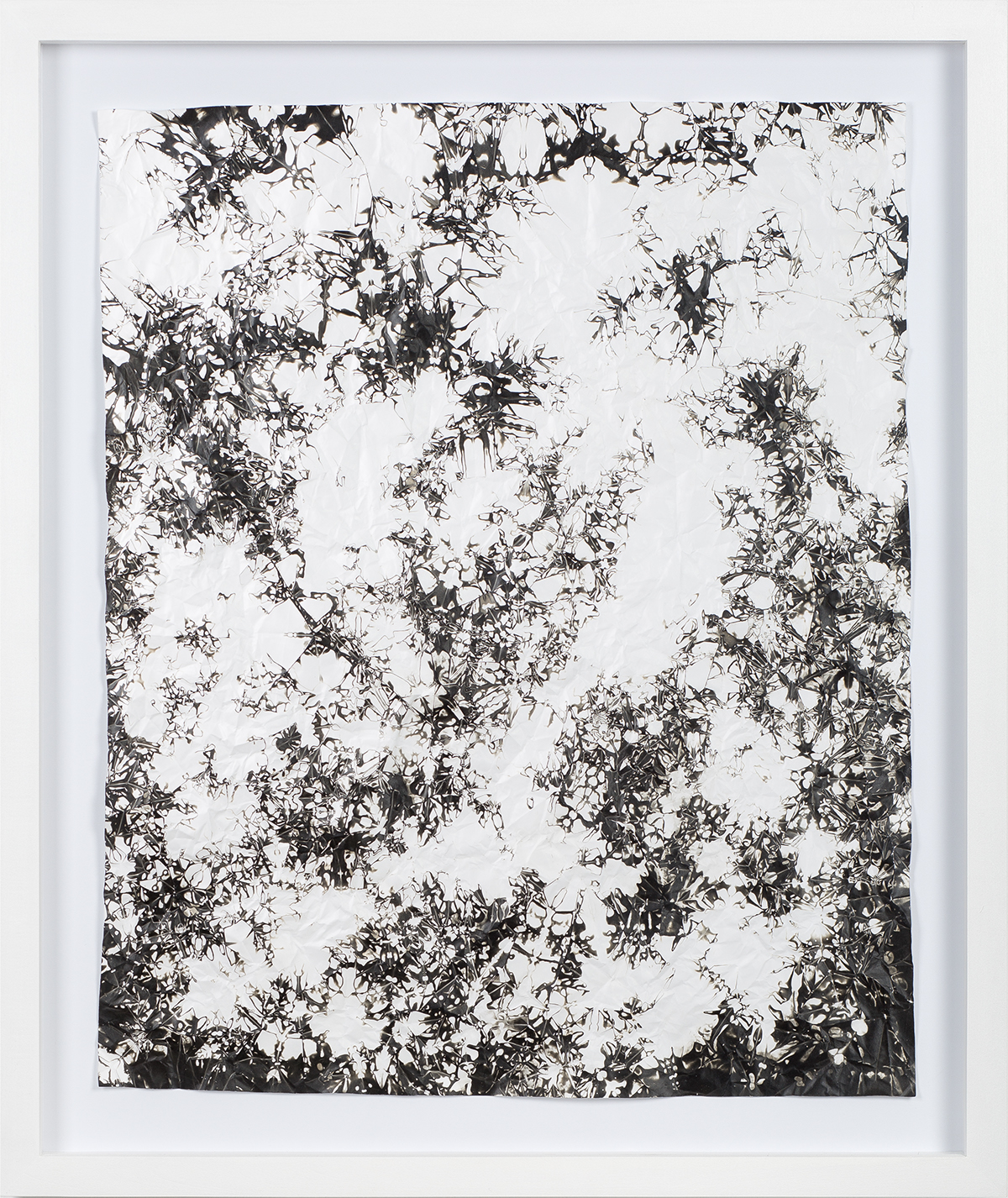 Simon Hantaï chemogram black and white painter hommage pliage concrete photography crease photo paper light developer monochrome