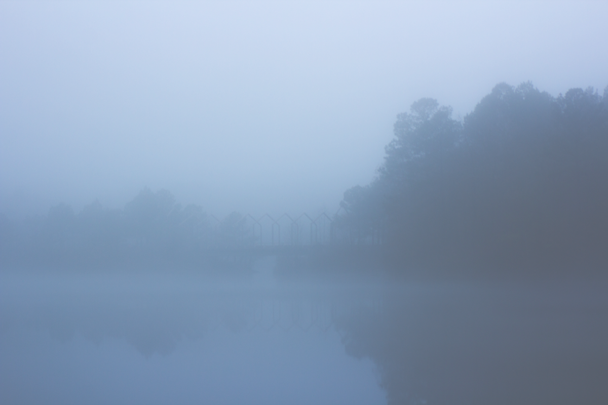 Landscape gloomy Moody fog Nature atlanta mist dream outside peace