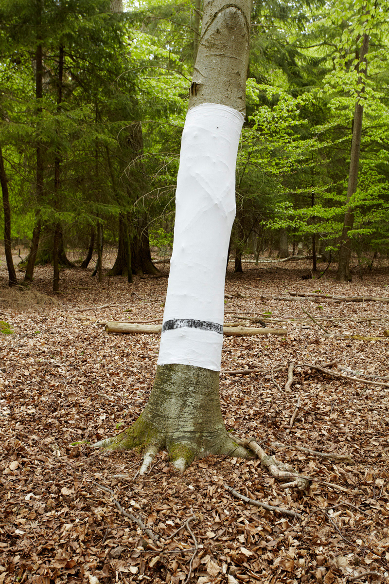 trees  landscape  zingst tuma textile boysplaynice wood germany residency action  Performance woodland