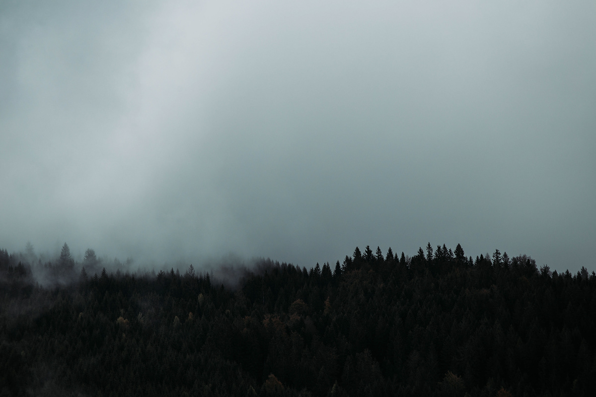 fog Landscape Moody mountain Photography  Serbia srbija tara vacation