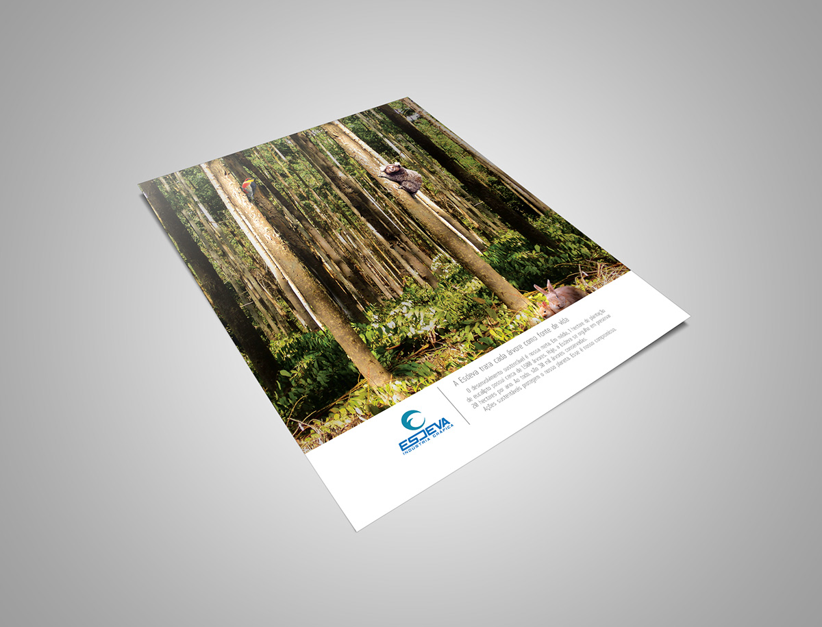 publicidade Esdeva journal magazine mag sustentabilidade grafica industry paper anúncio