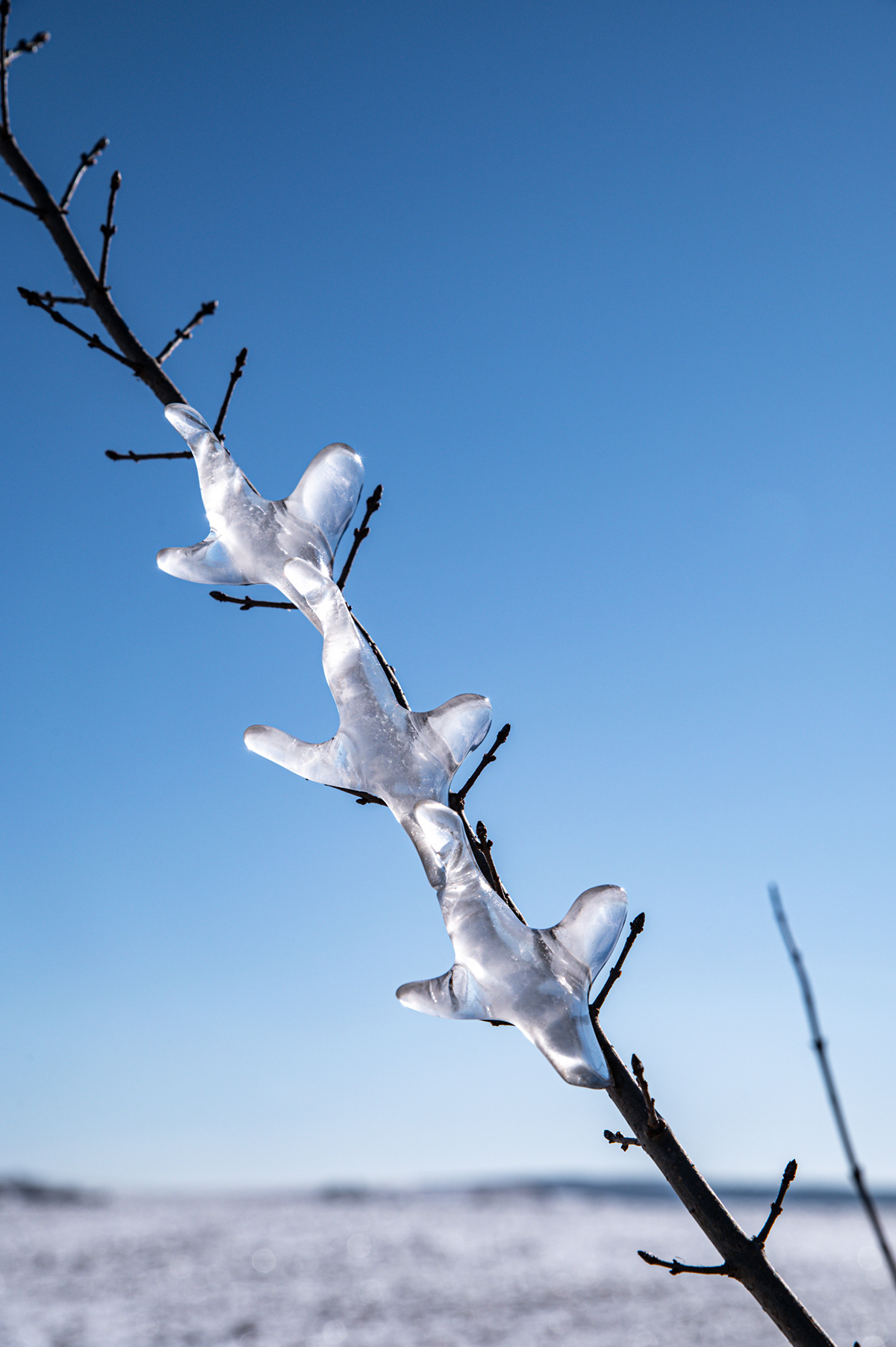 winter Landschaft fotografie natur Nikon eis Himmelblau Naturschauspiel schnee