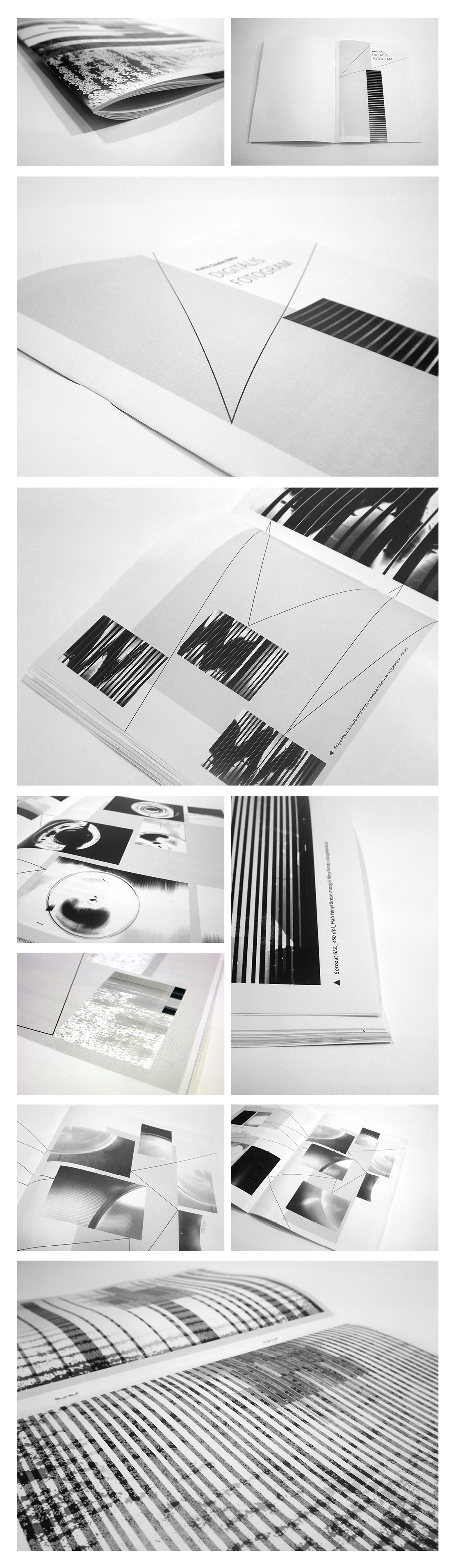 scanner Brehm book project book moholy digital digital fotogram fotogram black and white Glitch Glitch Design experiment glitch experiment