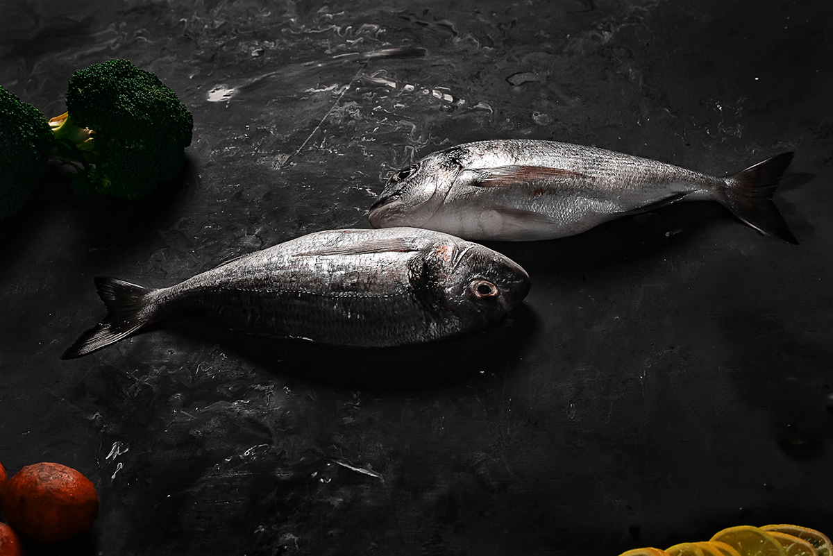 sea food fish raw grey dark colorful fresh food photography Photography 