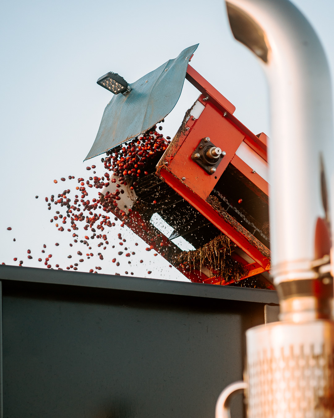 Cranberry Harvest - New England - Aaron Mello Photography