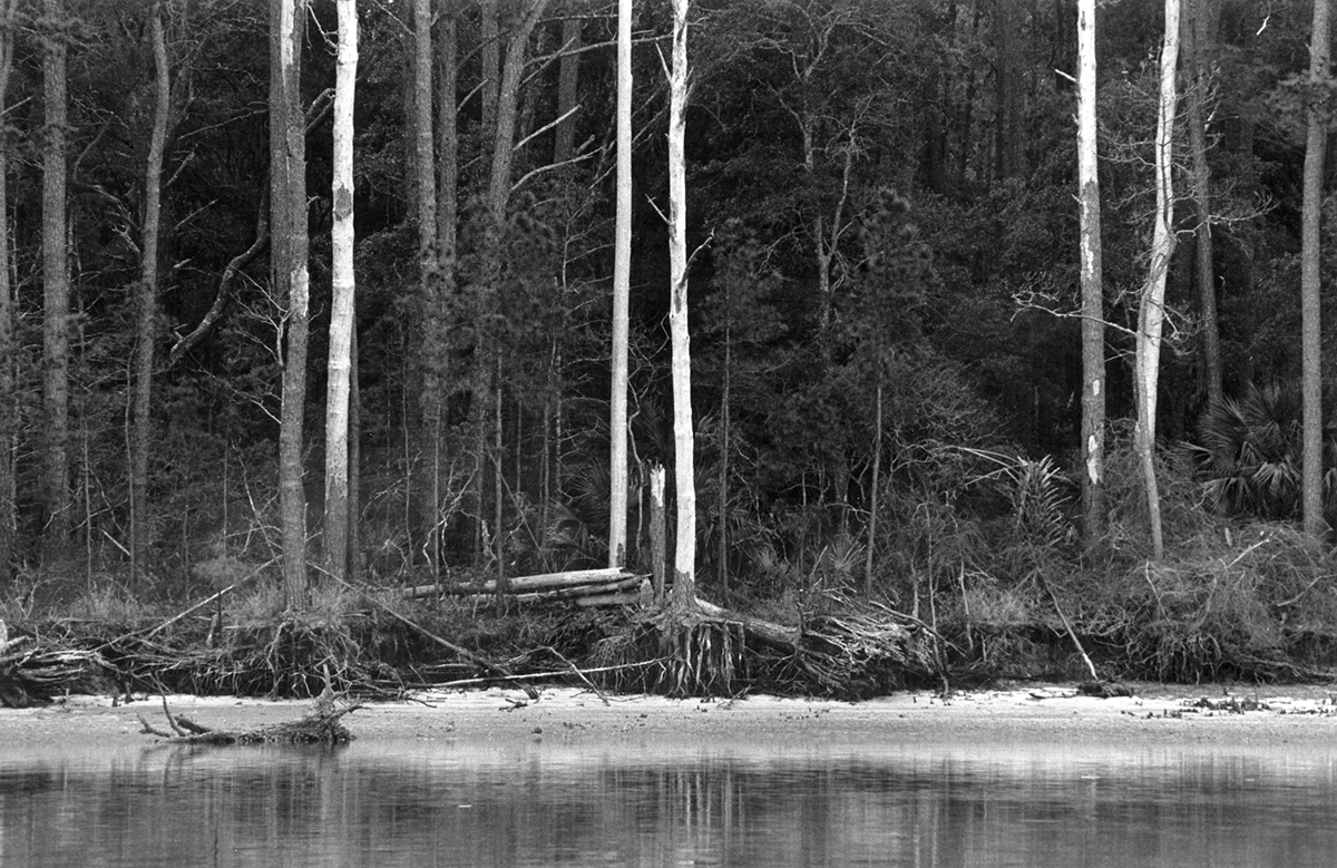 black and white 35mm film photography Landscape seascape