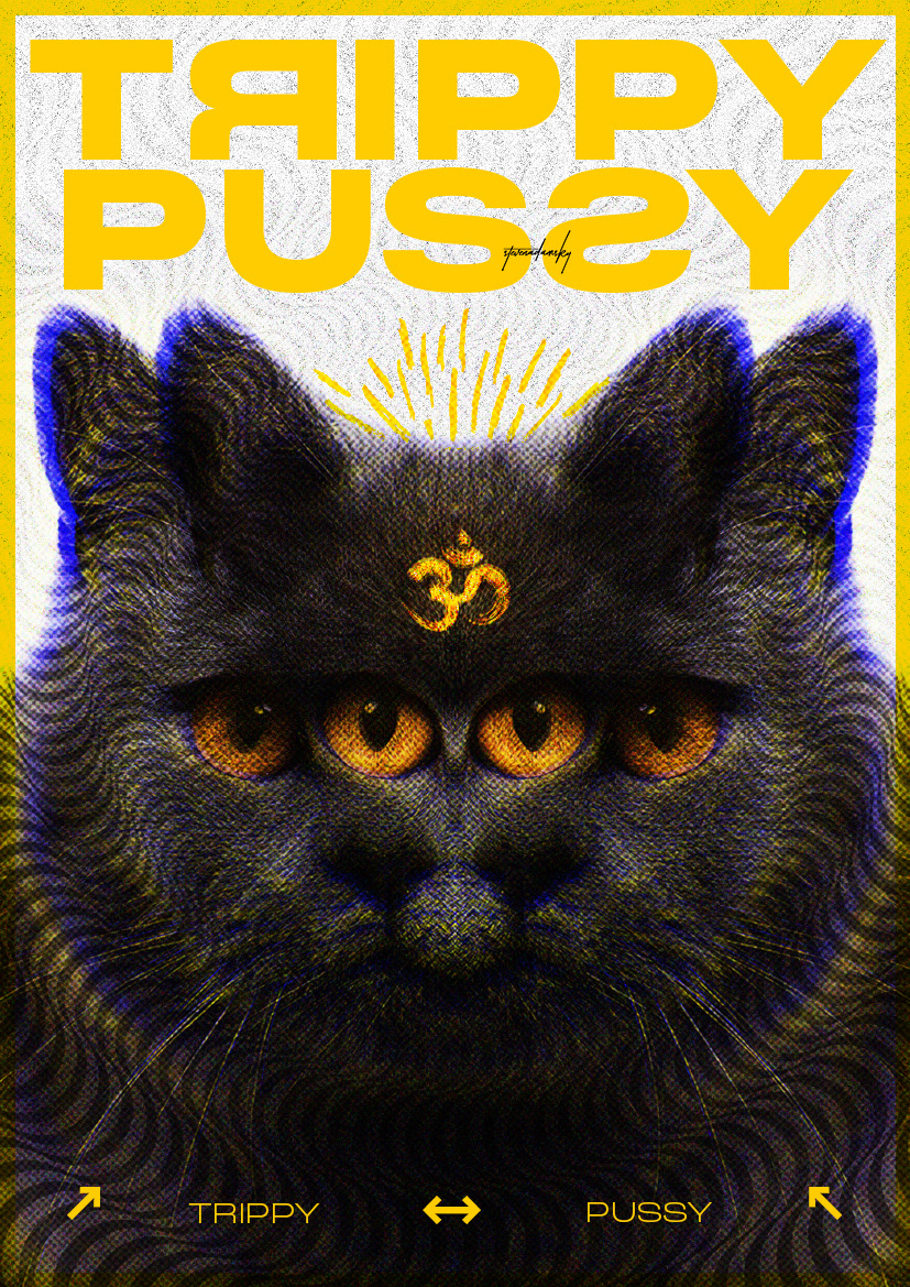 artwork psychedelic art trippy poster Cat Digital Art  Om