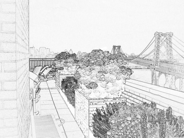 urban landscape design  garden reconstruction  brooklyn  nyc