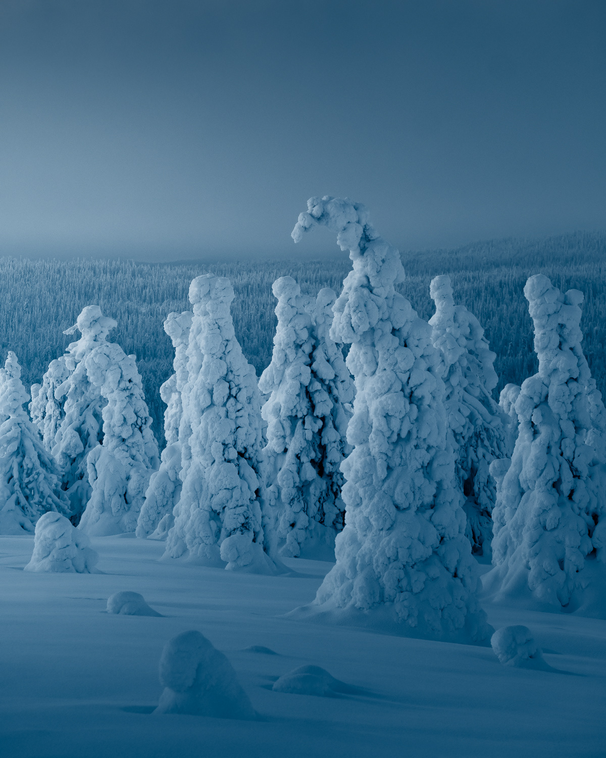 Nature Photography  Landscape finland Arctic winter Nikon adventure outdoors