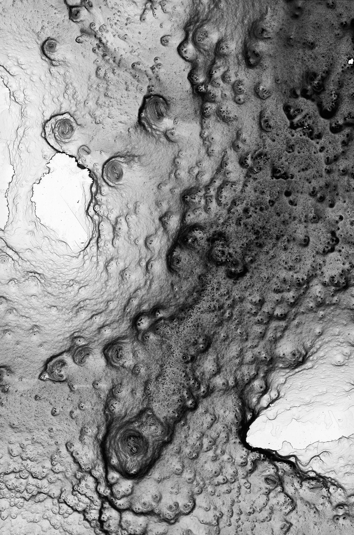 ink washes damian vancamp New York risd pattern fluid topography morph microscopic macroscopic virus chemistry creative concept design Landscape