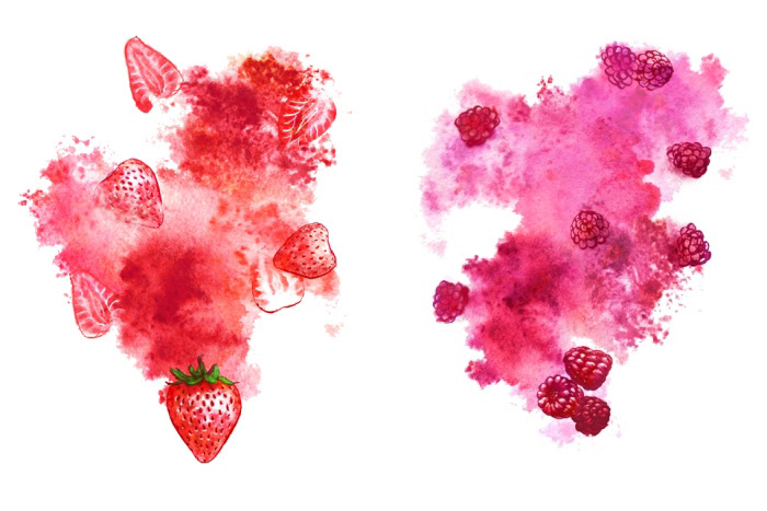 berry Fruit watercolor splash strawberry raspberry cranberry cherry blueberry orange