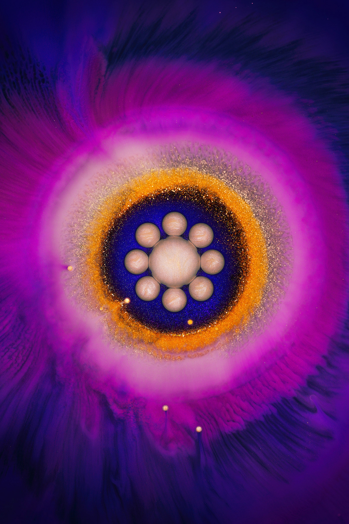 abstract flower Liquid paint Photography 