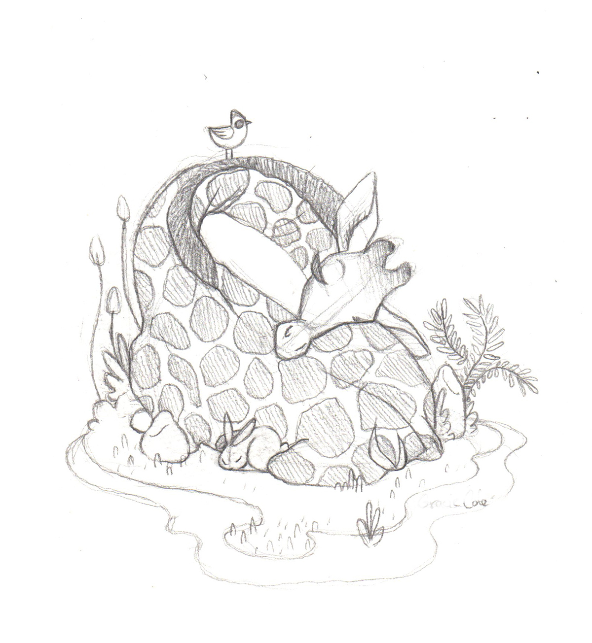 giraffe Nature sketch sketchbook doodle childrensbook book flower rabbit bird Flowers nap napping sleep