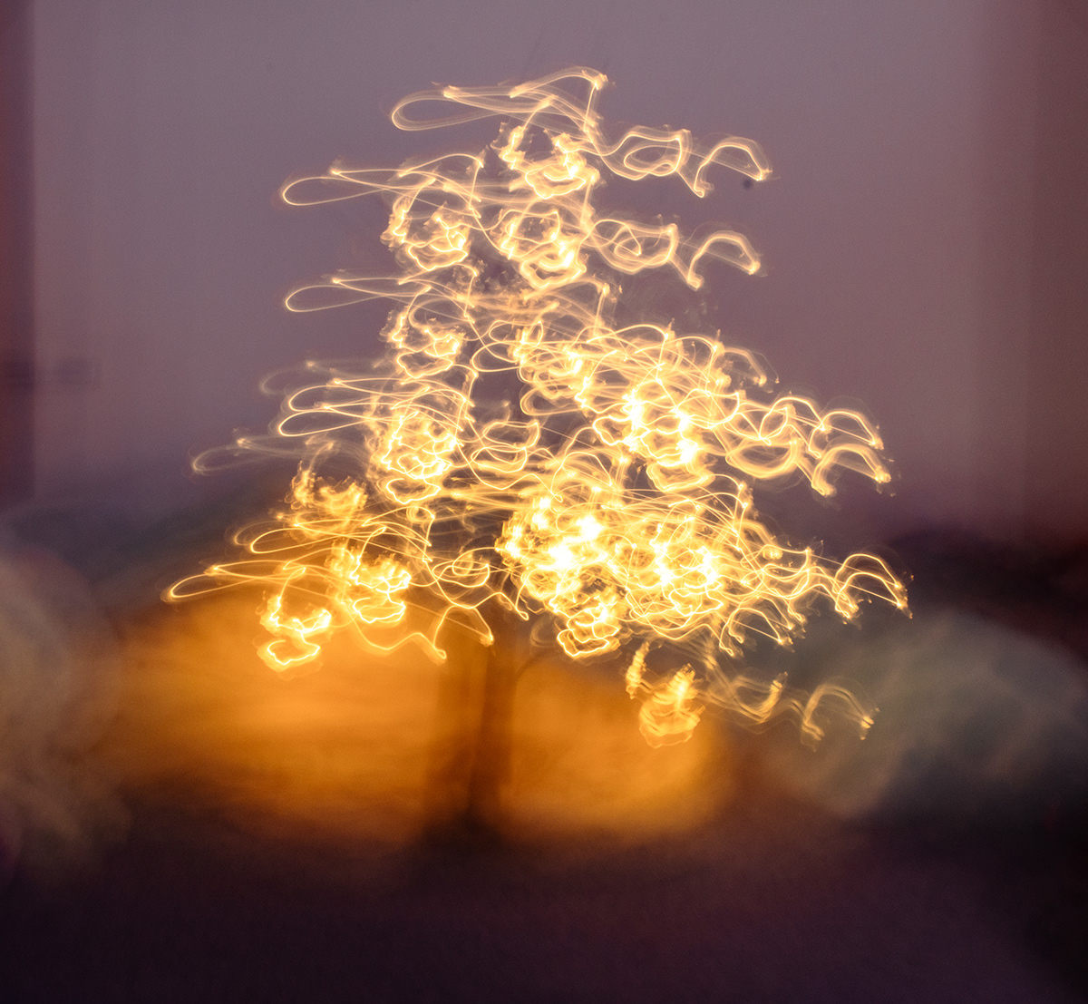 Image may contain: christmas tree, light and christmas