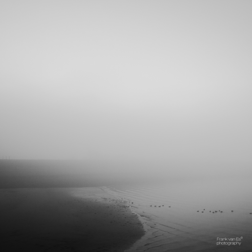 mist misty bw zwart wit shore shores kust kustlijn Frank van Es fading art fotografie fine art Nederland The Netherlands Tholen Sint Maartensdijk Zeeland zee sea
