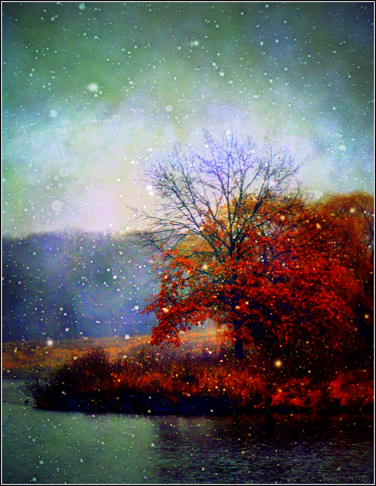 season winter Fall fog SKY stars mist color Nature wilderness water lake shore light