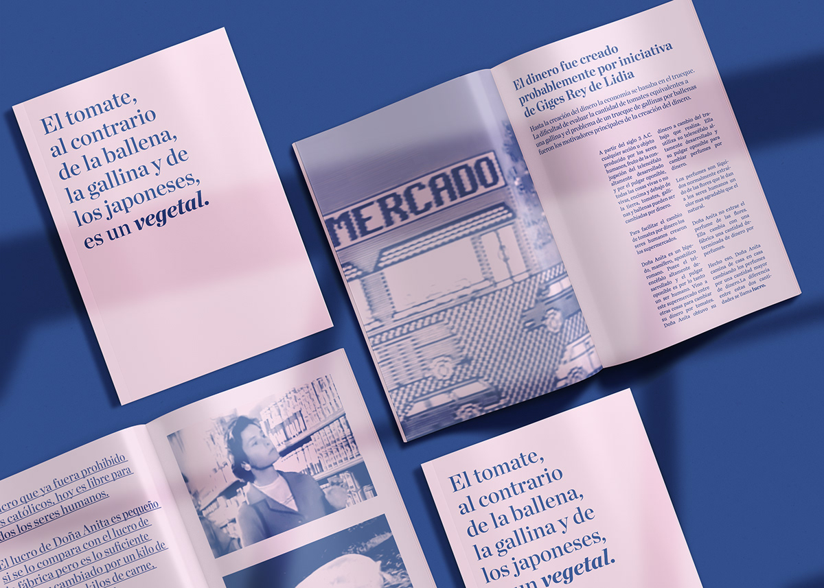fanzine magazine typography   Layout photobook design Diseño editorial documental sociedad domestika