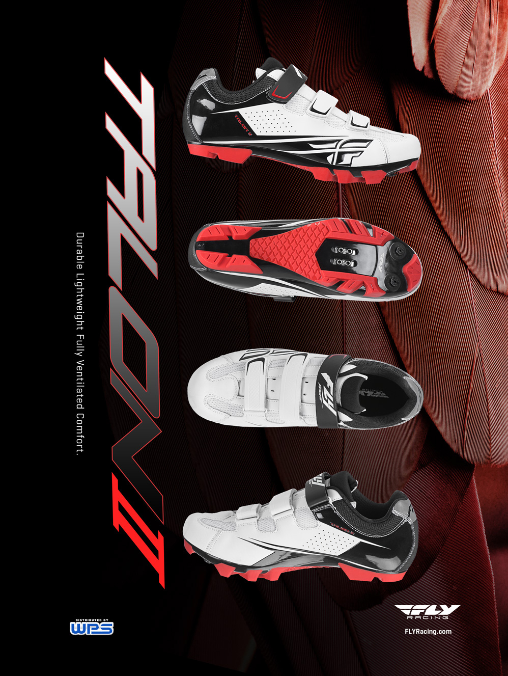 Adobe Portfolio Advertsing design design print design  digital design fly bmx shoes