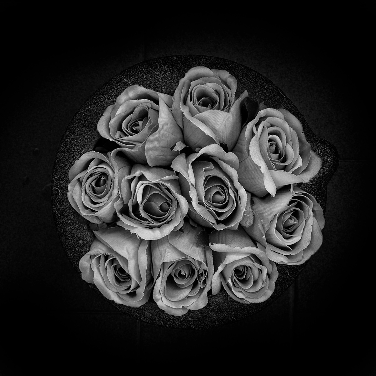 flower aphorism Nature fine design light black White square rose Ps25Under25