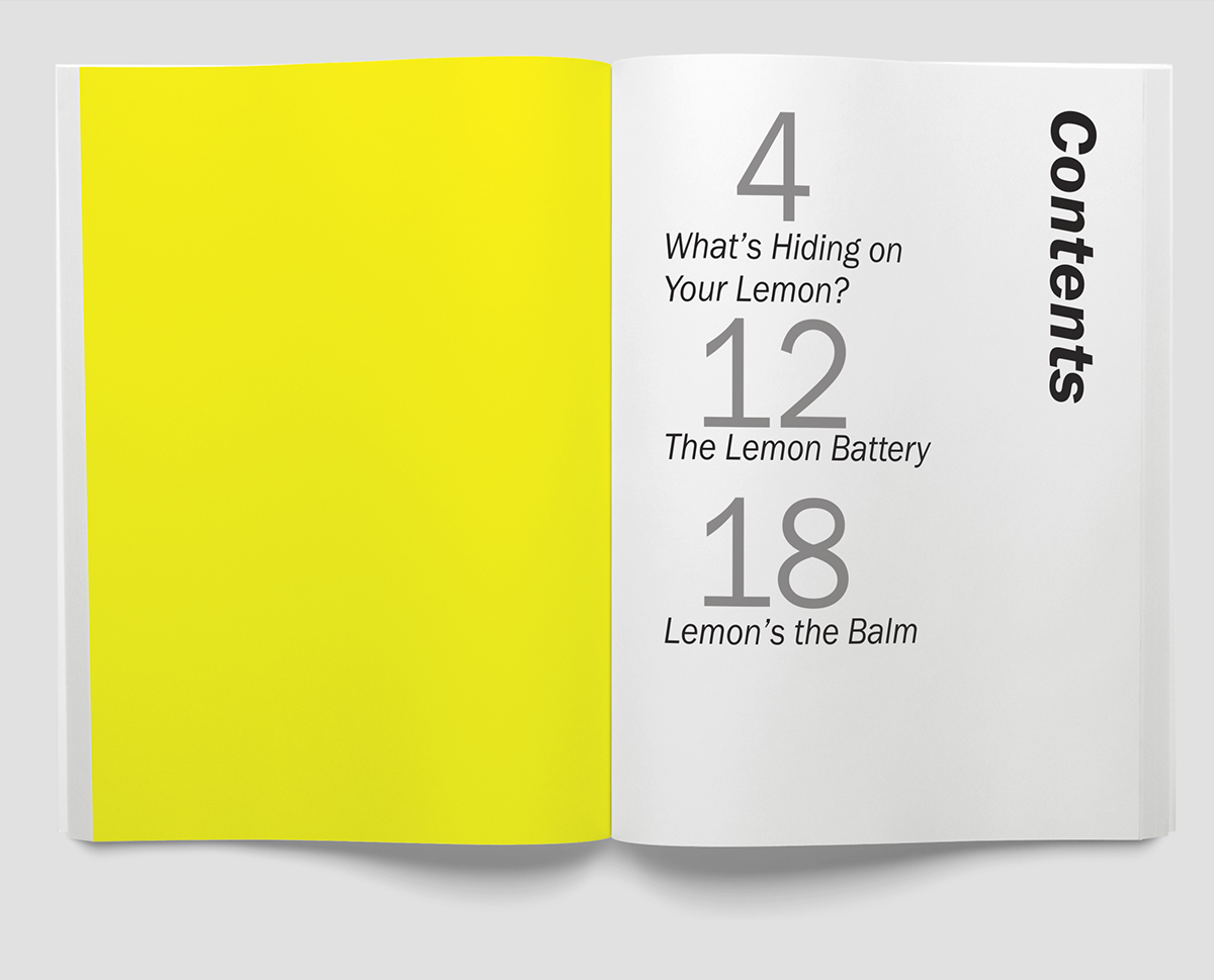 lemon magazine Natasha Jen