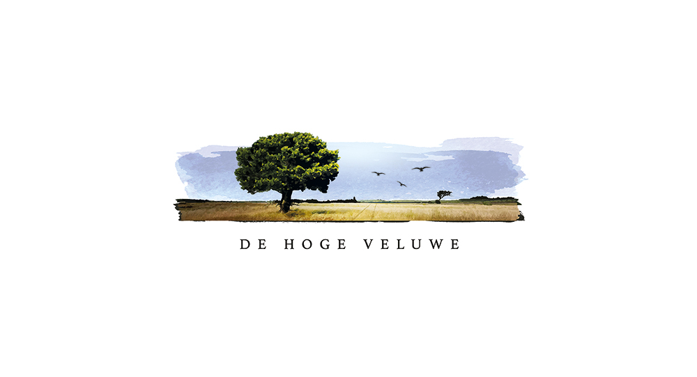 Veluwe National Park national parc Gelderland Holland Nederland animals Tree  Nature paint panorama city Proposal