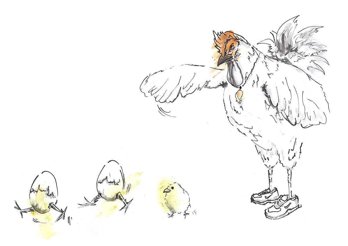 doodling hen Rooster