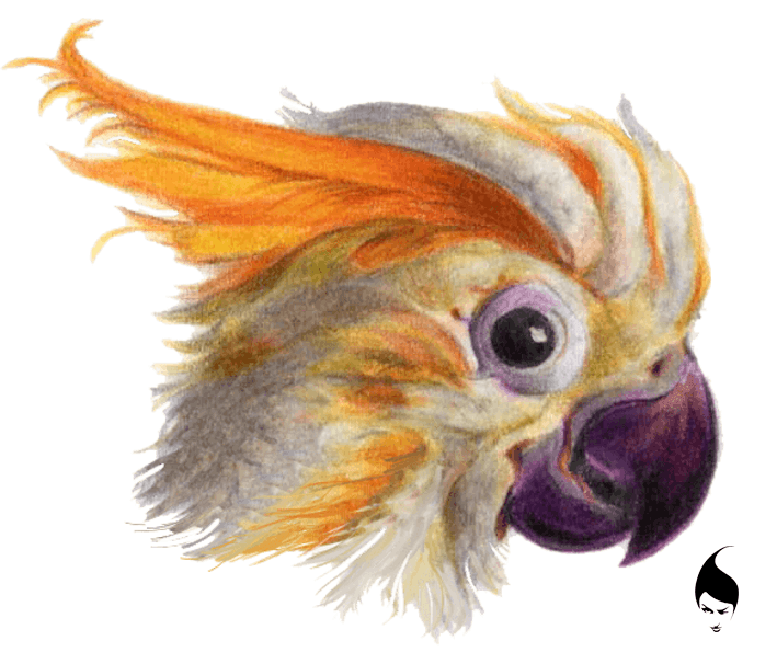 dog rabbit parrot stork Digital Art  watercolor pencils