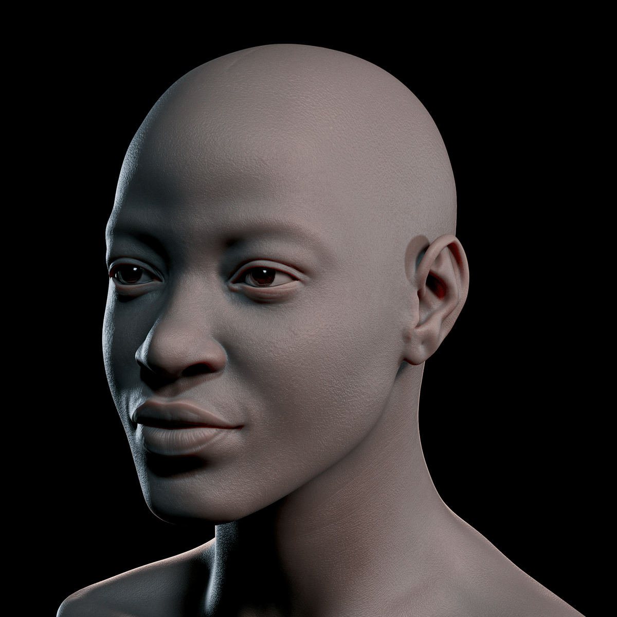 portrait likeness anatomy study anatomy Face Anatomy sculpture 3d modeling 3d sculpting face sculpture Female portrait