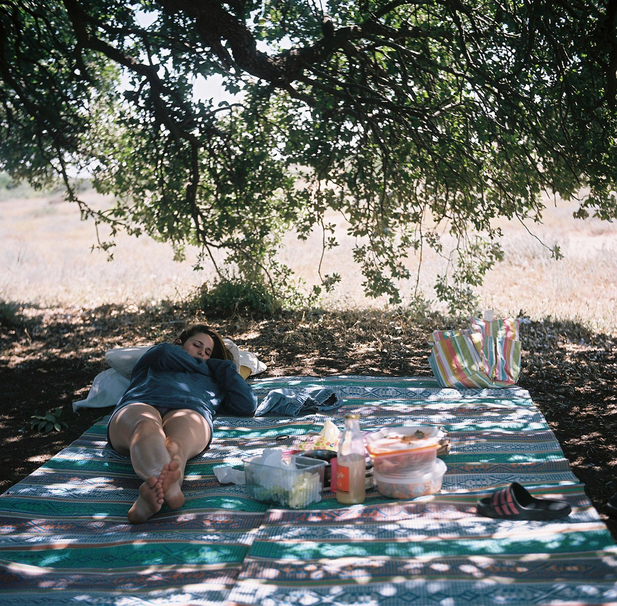 grave forest picnic Tree  Sun glass Coffee family Sisters beach medium format Memorial