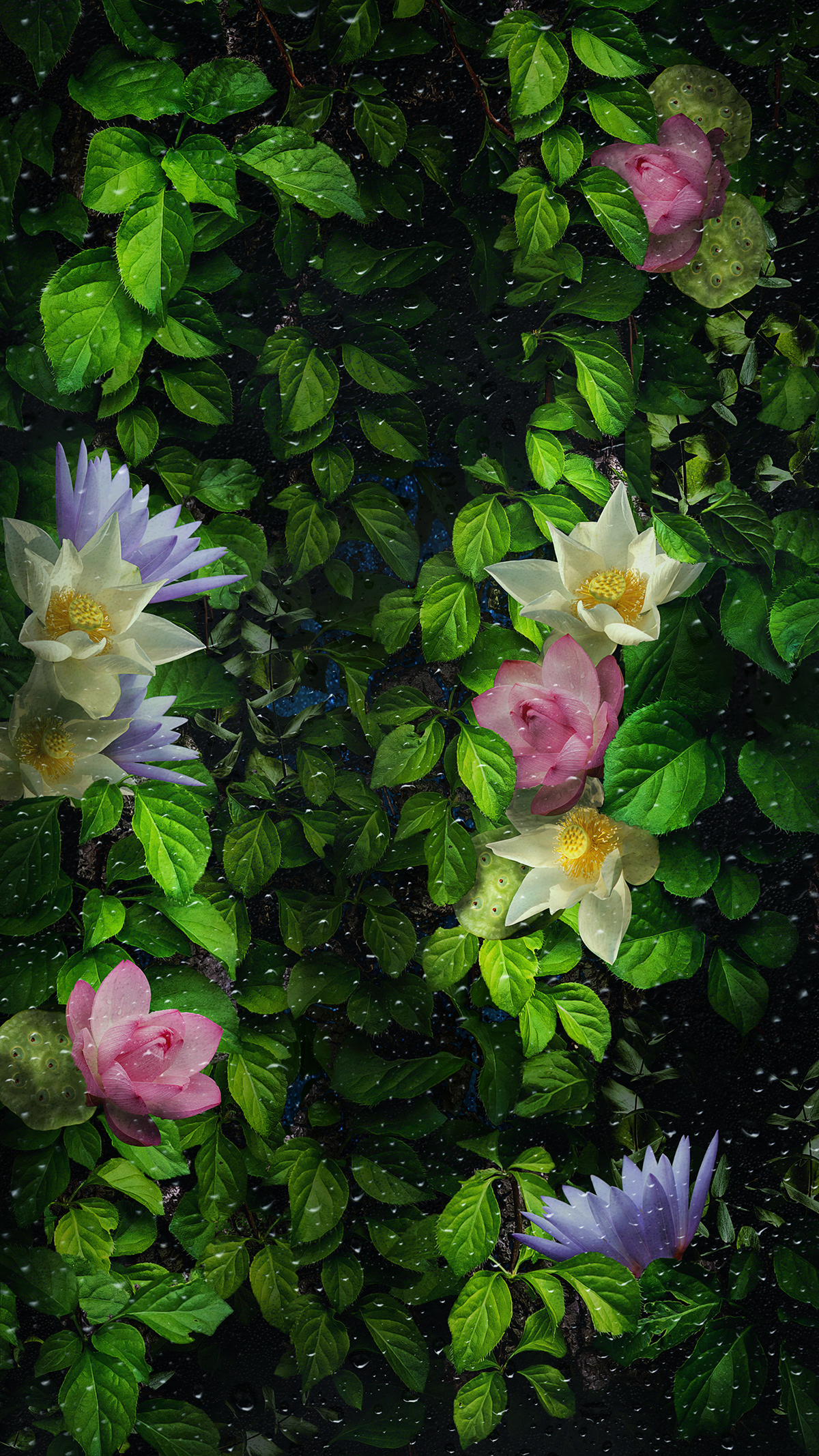 flower Nature floral Lotus Mattepainting leaves plants green dark glow