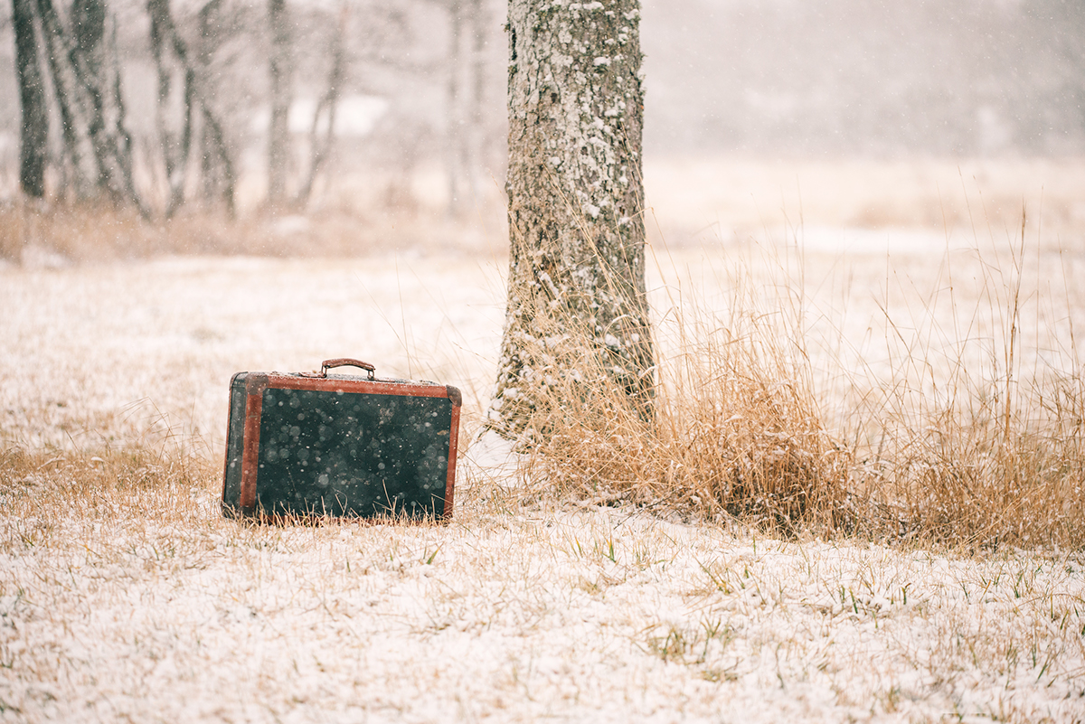 suitcase snow winter Travelling Kokar Tree  Presetr