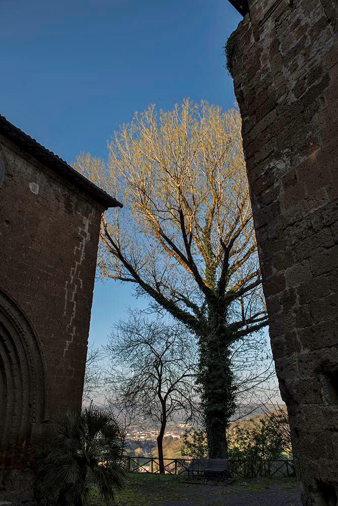 Italy orvieto Landscape church medieval steeple convent