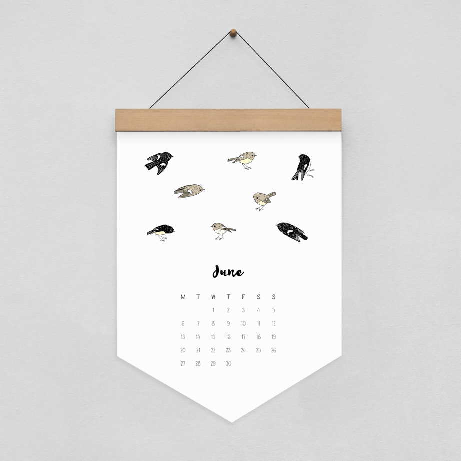 2016 Calendar eco design New Zealand birds Bird Illustration calendar design handmade new zealand made Calendar illustration bird art