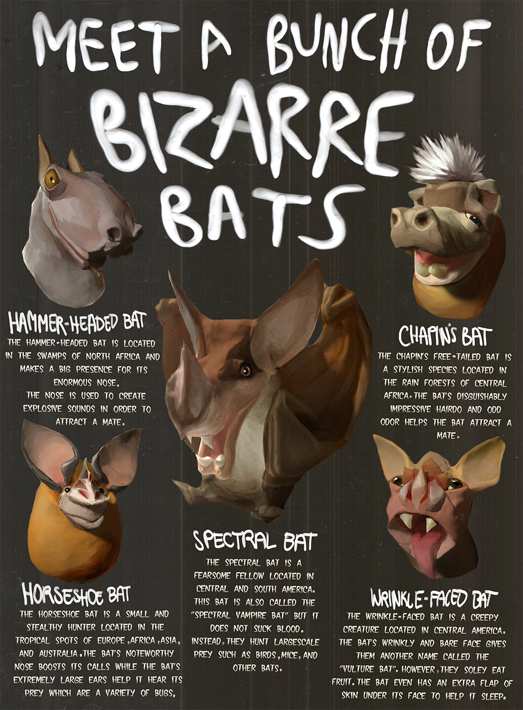 bat poster science biology hammer-headed bat spectral bat preteen middle school wrinkle-faced bat Horseshoe bat