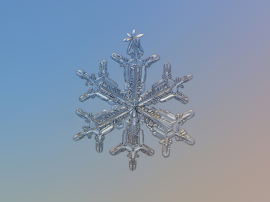 snowflake macro photo