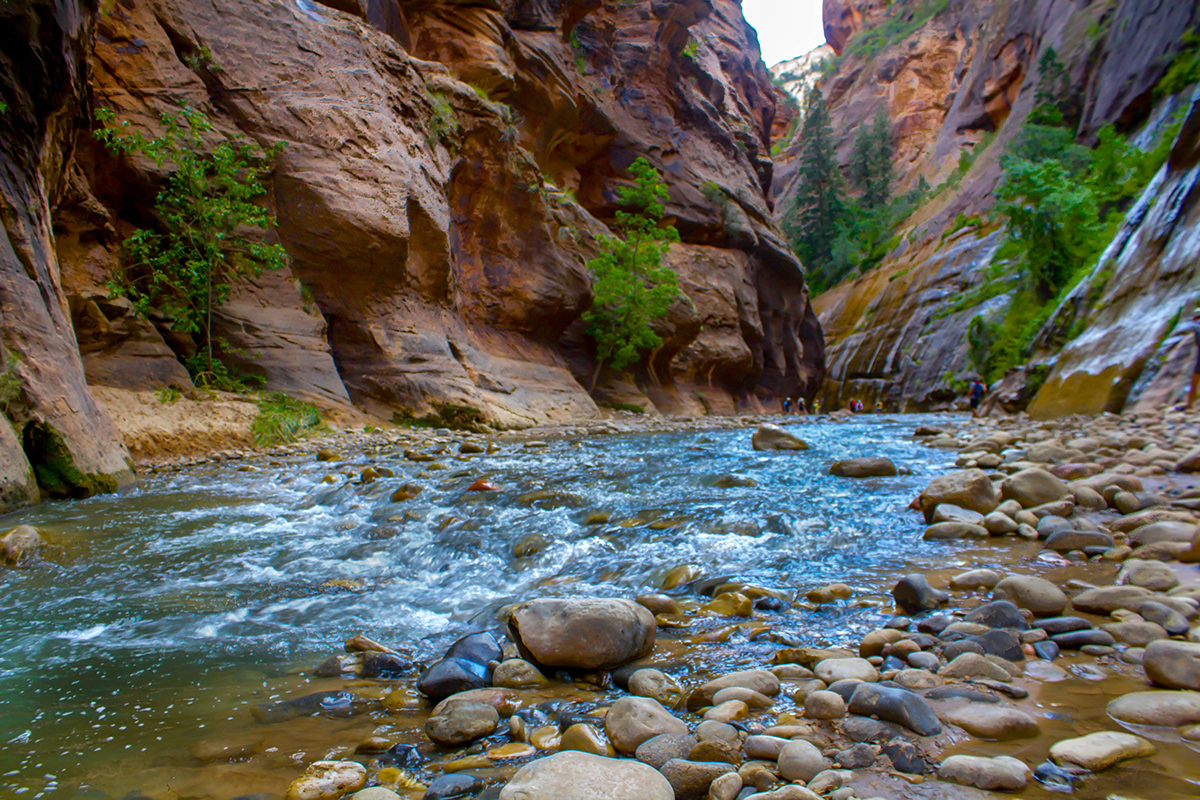 nature photography Nature utah zion national park mighty 5 hiking the narrows