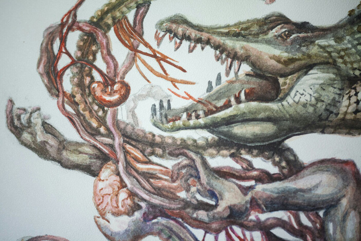 crocodile watercolor macabre medicine