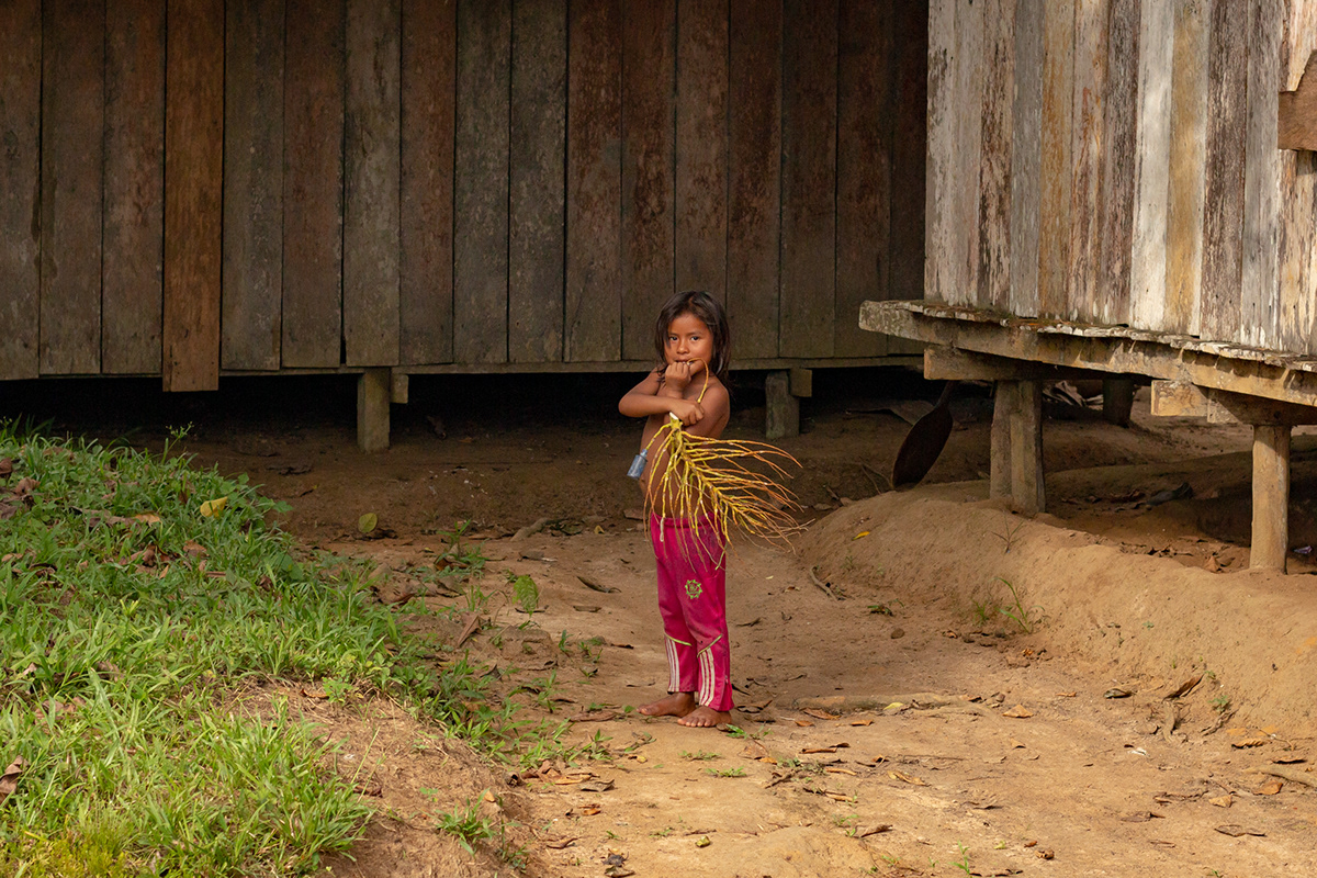 Fotografia selva colombia documental viaje journey Documentary  Photography  jungle