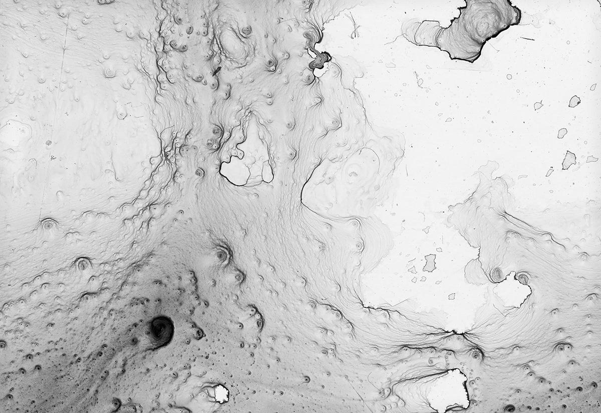 ink washes damian vancamp New York risd pattern fluid topography morph microscopic macroscopic virus chemistry creative concept design Landscape
