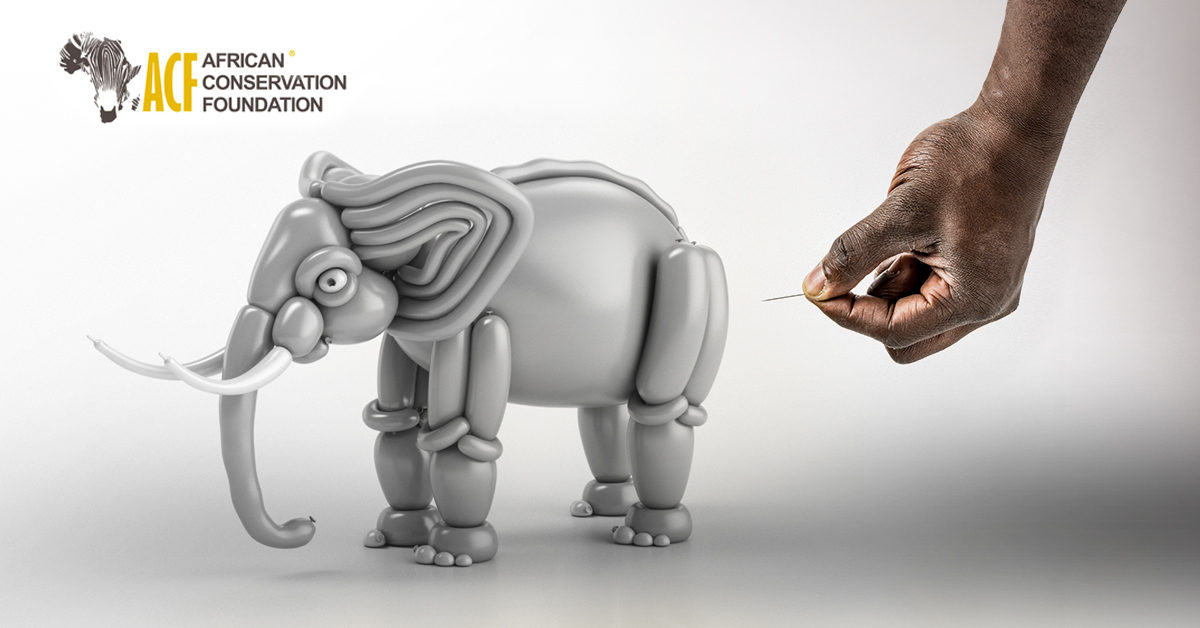 frederic mueller digital image making 3D rendering balloon animal CGI poaching Extinction
