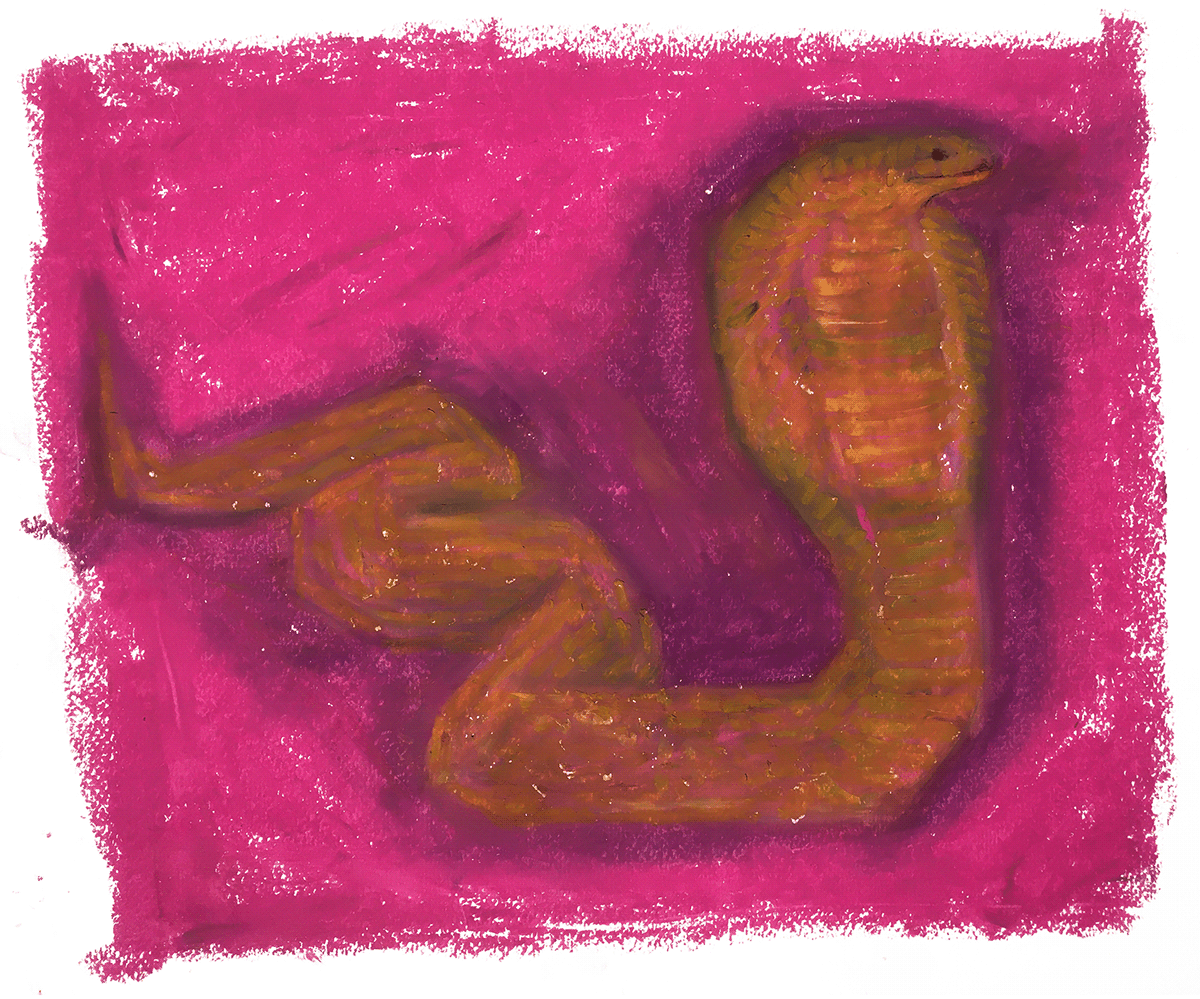 Illustration of a cobra.